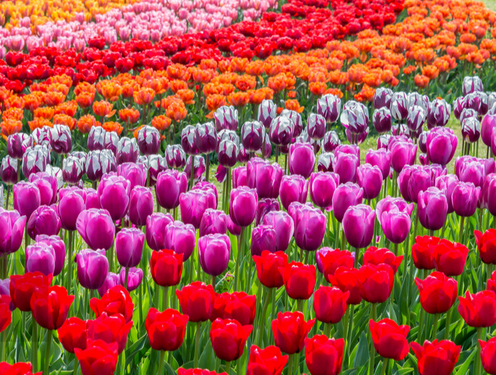 江西旅游打卡地有哪些呢？